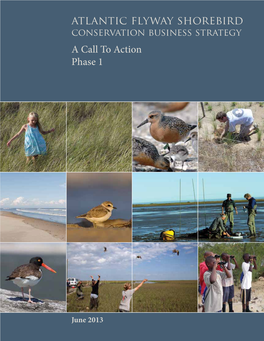 Atlantic Flyway Shorebird Conservation Business Strategy a Call to Action Phase 1
