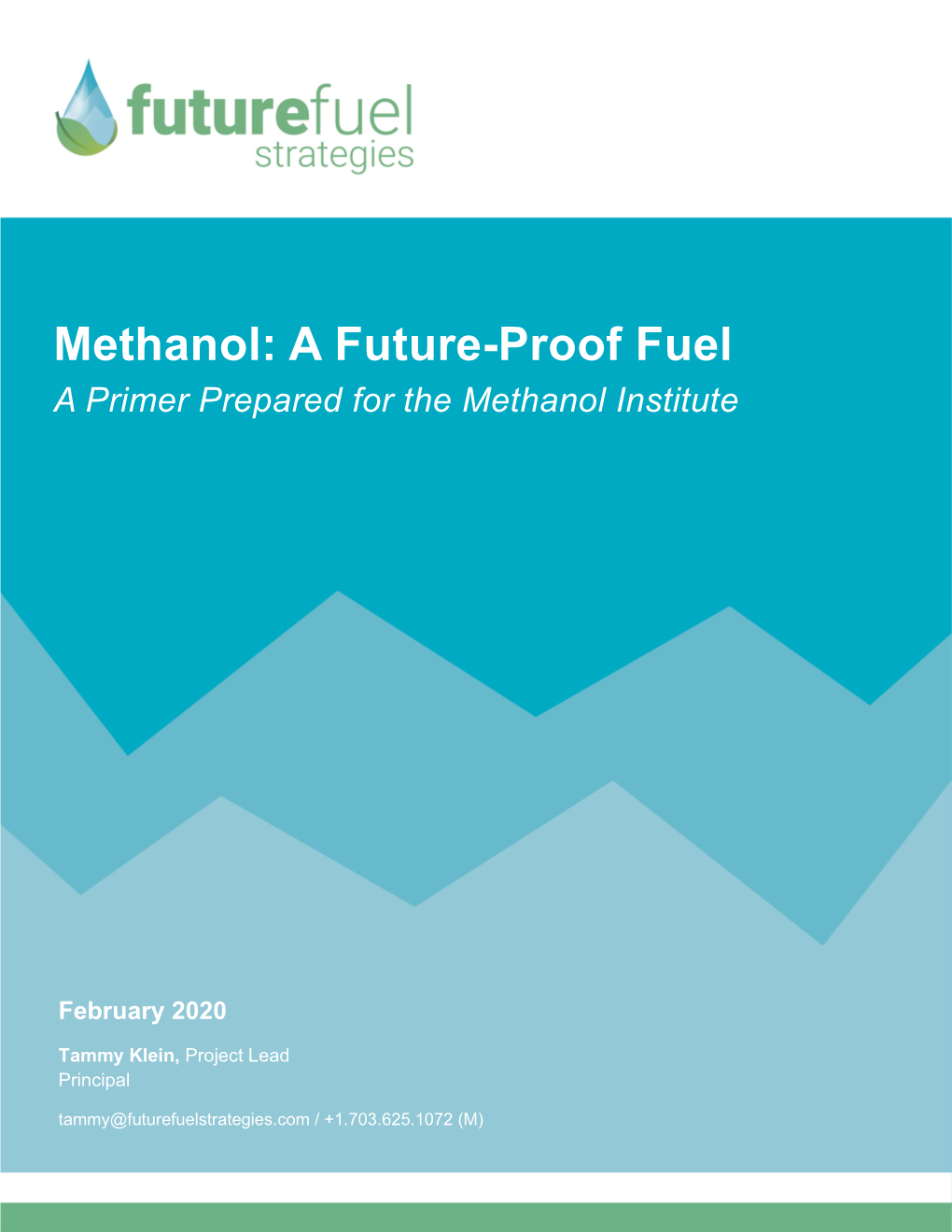 Methanol: a Future-Proof Fuel a Primer Prepared for the Methanol Institute