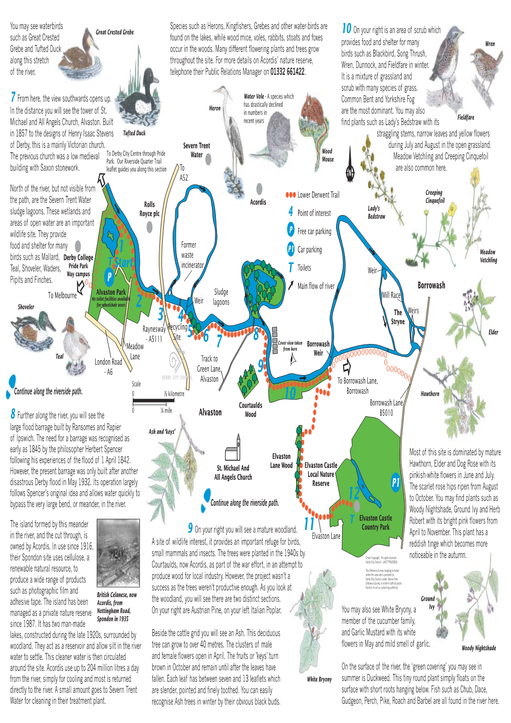 Derby's Lower Derwent (Pdf)