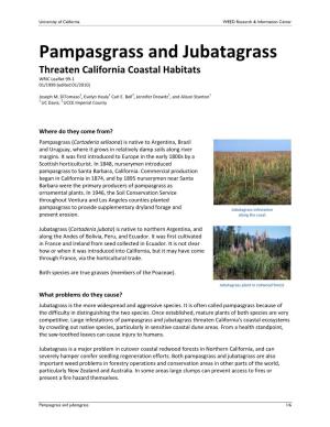 Pampasgrass and Jubatagrass Threaten California Coastal Habitats WRIC Leaflet 99-1 01/1999 (Edited 01/2010)