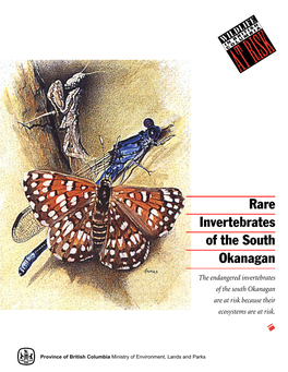 Rare Invertebrates of the South Okanagan