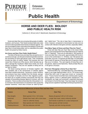 Horse and Deer Flies: Biology and Public Health Risk