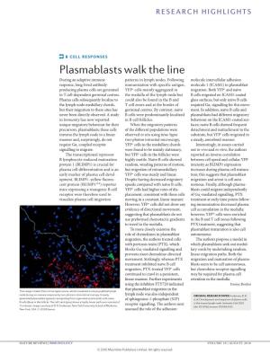 B Cell Responses: Plasmablasts Walk the Line