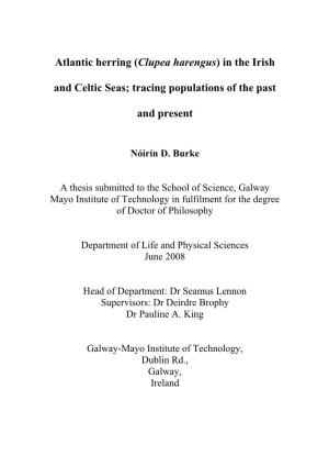 Atlantic Herring (Clupea Harengus) in the Irish and Celtic Seas; Tracing Populations of the Past and Present