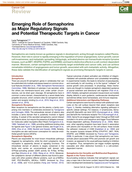 Emerging Role of Semaphorins As Major Regulatory Signals and Potential Therapeutic Targets in Cancer