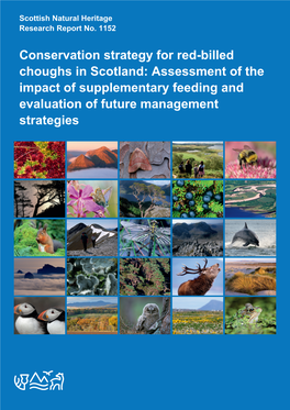 Conservation Strategy for Red-Billed Choughs in Scotland: Assessment of the Impact of Supplementary Feeding and Evaluation of Future Management Strategies