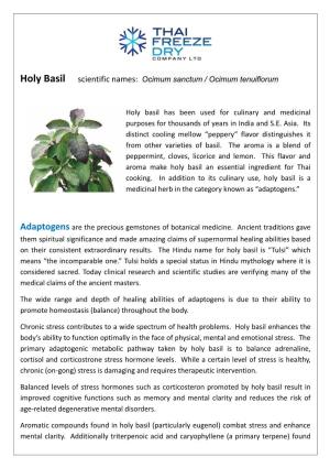 Holy Basil Scientific Names: Ocimum Sanctum / Ocimum Tenuiflorum