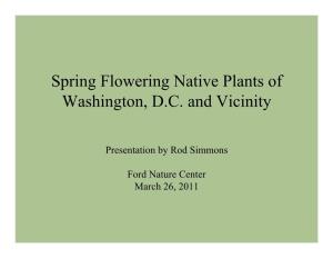 Flora Spring Flowering Native Plants of Washington D.C. and Vicinity