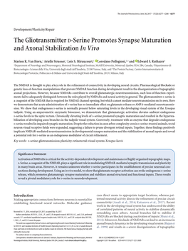 The Gliotransmitter D-Serine Promotes Synapse Maturation and Axonal Stabilization in Vivo