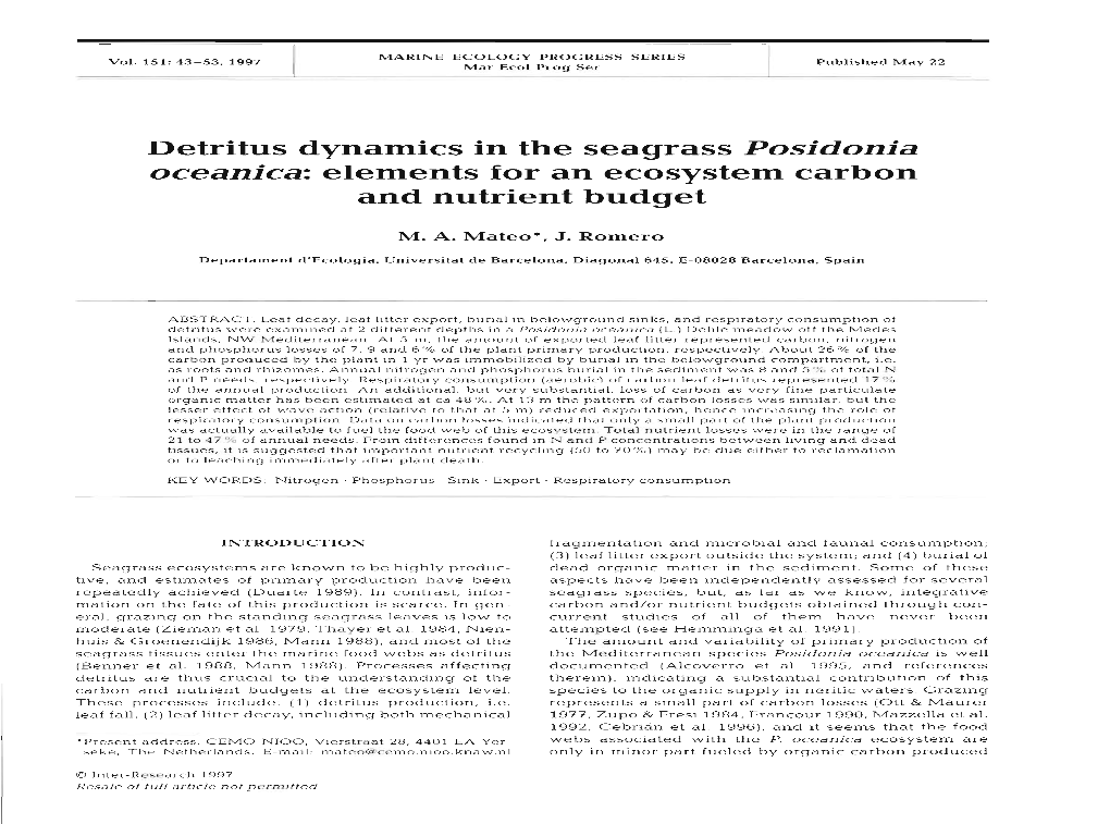 Detritus Dynamics in the Seagrass Posidonia Oceanica: Elements for an Ecosystem Carbon and Nutrient Budget