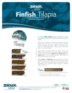 Finfish Tilapia Meeting Your Nutritional Needs for Successful Aquaculture!