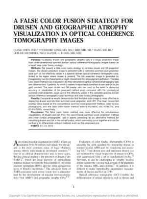 A False Color Fusion Strategy for Drusen and Geographic Atrophy Visualization in Optical Coherence Tomography Images