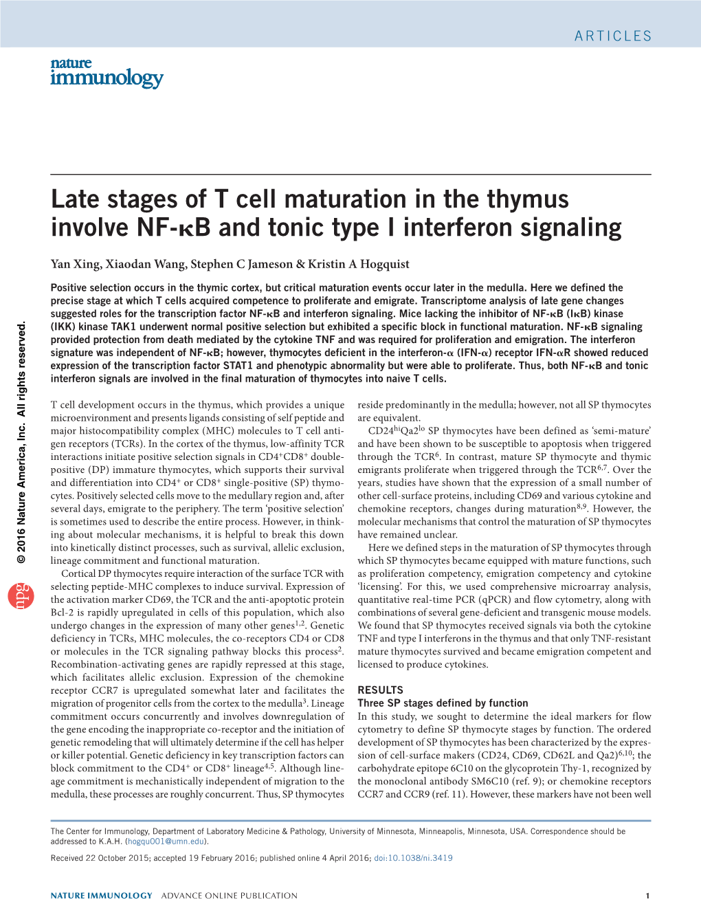 Late Stages of T Cell Maturation in the Thymus