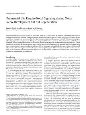 Perineurial Glia Require Notch Signaling During Motor Nerve Development but Not Regeneration
