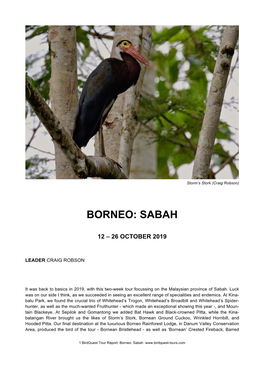 Borneo: Sabah