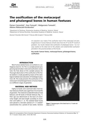 The Ossification of the Metacarpal and Phalangeal Bones in Human Foetuses