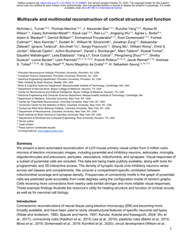 Multiscale and Multimodal Reconstruction of Cortical Structure and Function