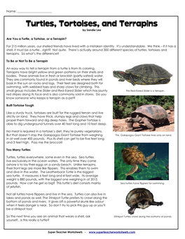 Turtles, Tortoises, and Terrapins by Sandie Lee