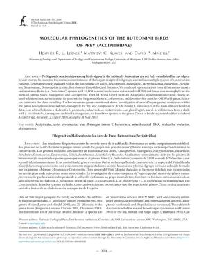 Molecular Phylogenetics of the Buteonine Birds of Prey (Accipitridae)