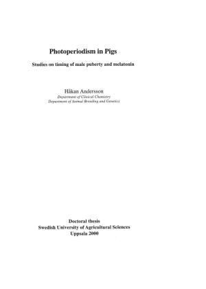 Photoperiodism in Pigs