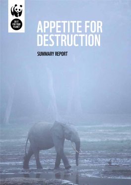Appetite for Destruction (Summary Report)