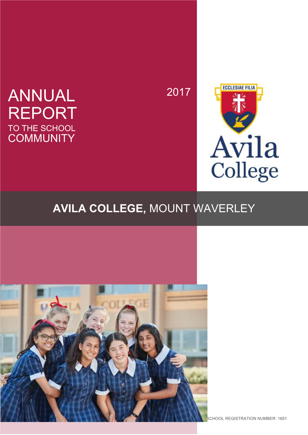 2017 Annual Report Secondary Template