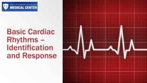 Basic Cardiac Rhythms – Identification and Response Module 1 ANATOMY, PHYSIOLOGY, & ELECTRICAL CONDUCTION Objectives