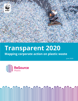 Transparent 2020: Mapping Corporate Action on Plastic Waste
