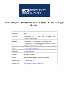 New Perspectives on the Bishop Tuff Magma Chamber from Micro