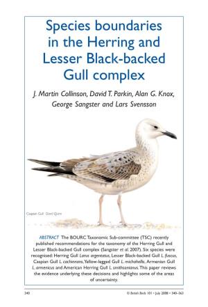 Species Boundaries in the Herring and Lesser Black-Backed Gull Complex J