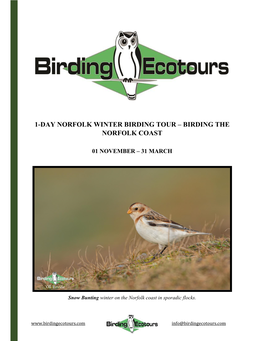 1-Day Norfolk Winter Birding Tour – Birding the Norfolk Coast