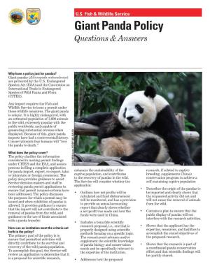 Giant Panda Policy Questions & Answers