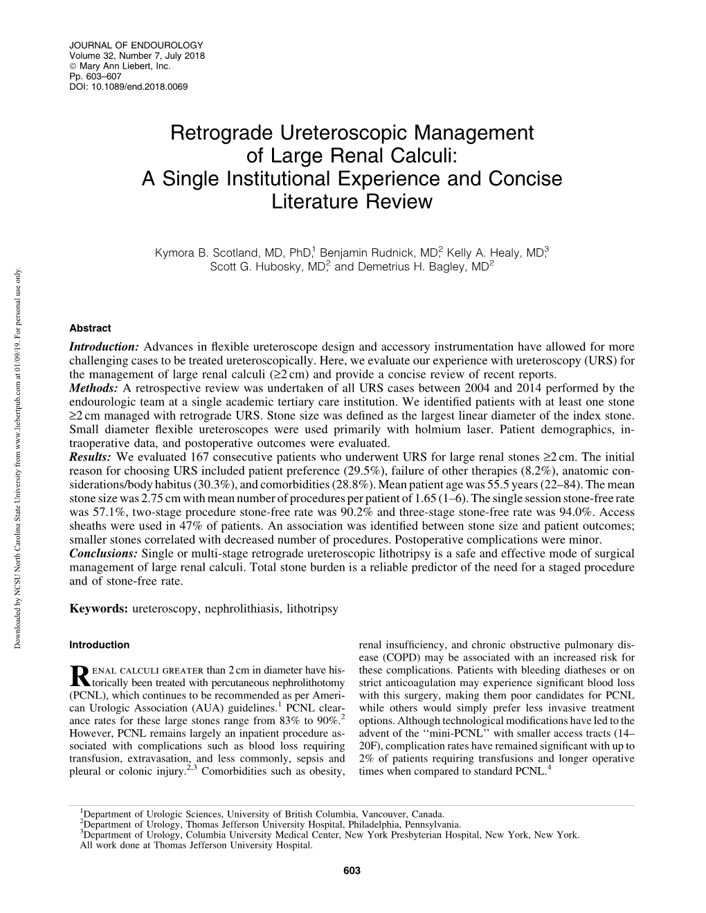 Retrograde Ureteroscopic Management of Large Renal Calculi: a Single Institutional Experience and Concise Literature Review