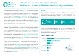 Profiles and Drivers of Eritreans in Mixed Migration Flows