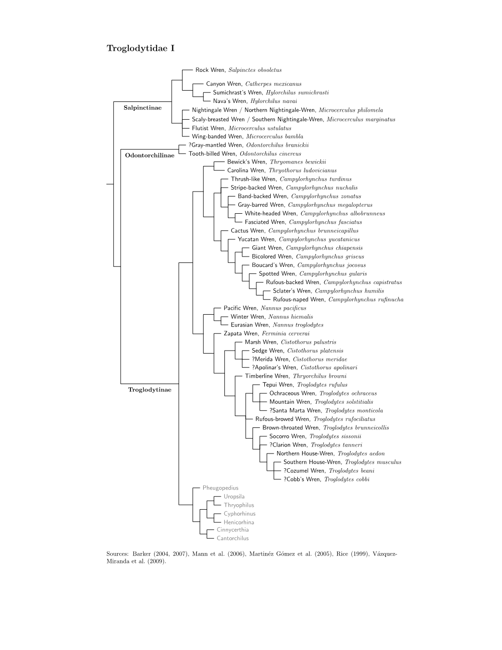 Troglodytidae Species Tree