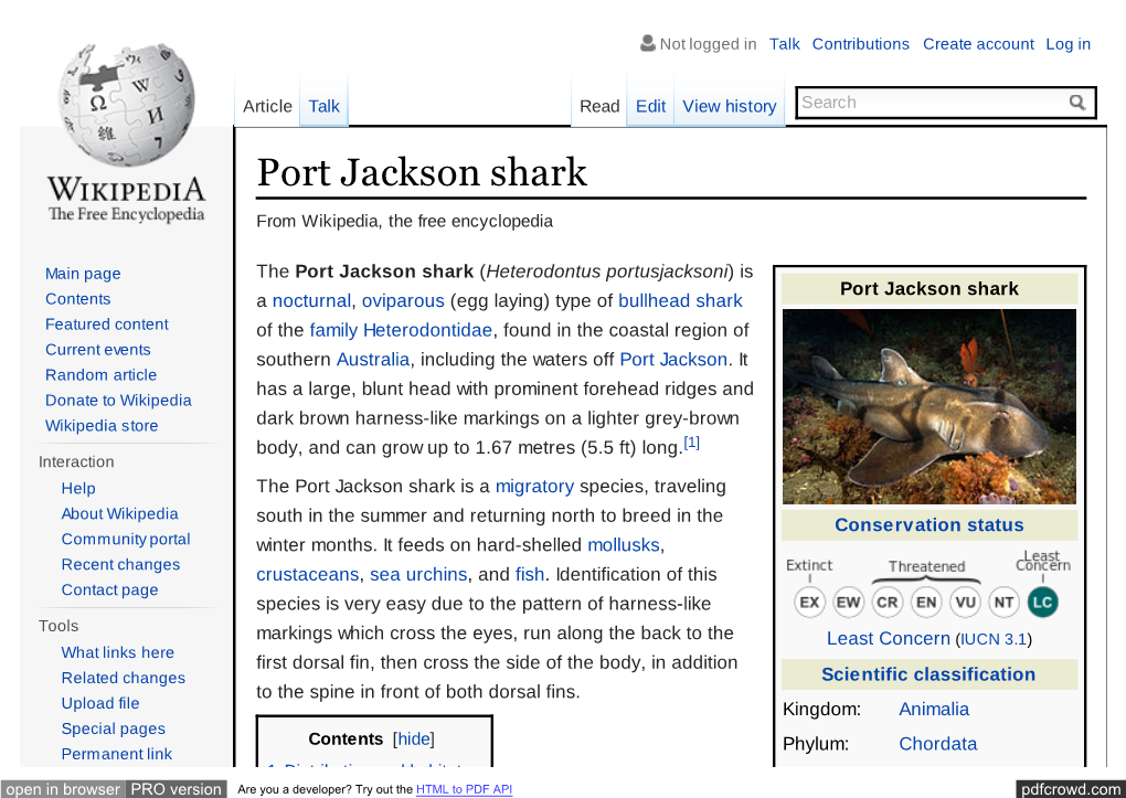 Port Jackson Shark