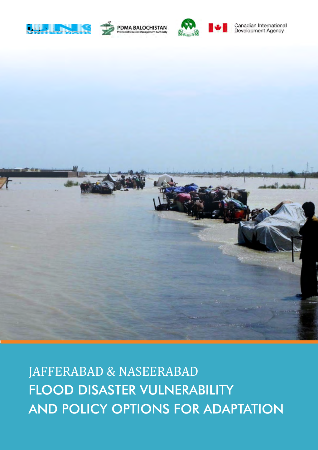 Download Flood Disaster Vulnerability Assessment