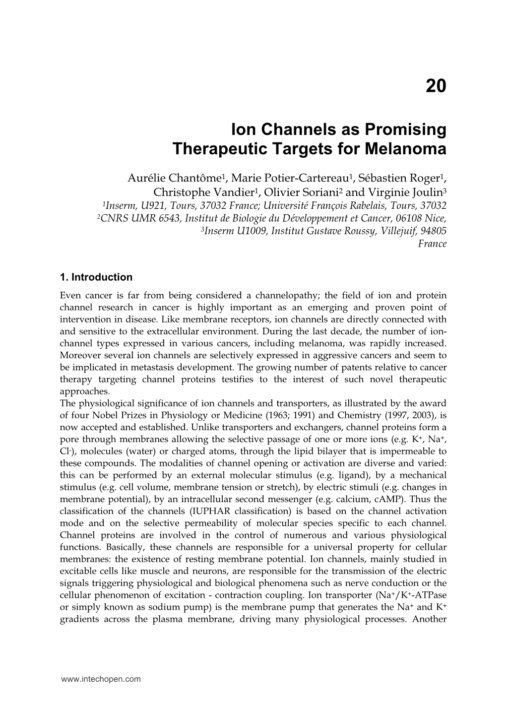 Ion Channels As Promising Therapeutic Targets for Melanoma