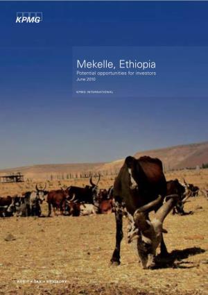 Mekelle, Ethiopia Potential Opportunities for Investors June 2010