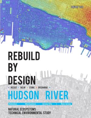 Rebuild by Design Hudson River: Resist, Delay, Store, Discharge EIS for Detailed Descriptions of Each of the Alternatives