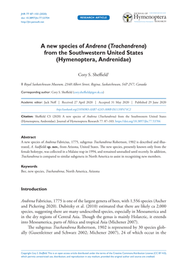 A New Species of Andrena (Trachandrena) from the Southwestern United States (Hymenoptera, Andrenidae)