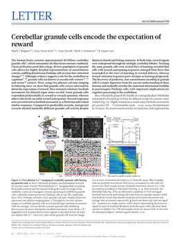 Cerebellar Granule Cells Encode the Expectation of Reward Mark J