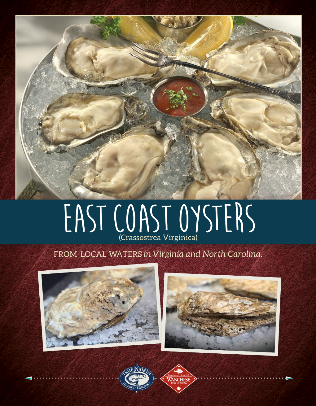 In Virginia and North Carolina. East Coast Oysters