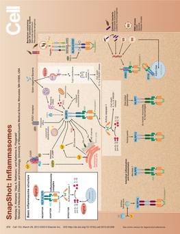 Snapshot: Inflammasomes Maninjay K