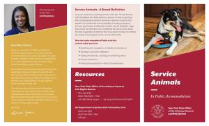 Service Animals - a Broad Definition of New York a Service Animal Is a Working Animal, Not a Pet