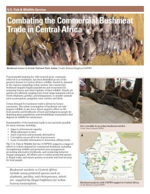 Commercial Bushmeat Trade in Central Africa