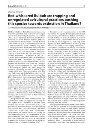 Red-Whiskered Bulbul: Are Trapping and Unregulated Avicultural Practices Pushing This Species Towards Extinction in Thailand? SUPATCHAYA TECHACHOOCHERT & PHILIP D