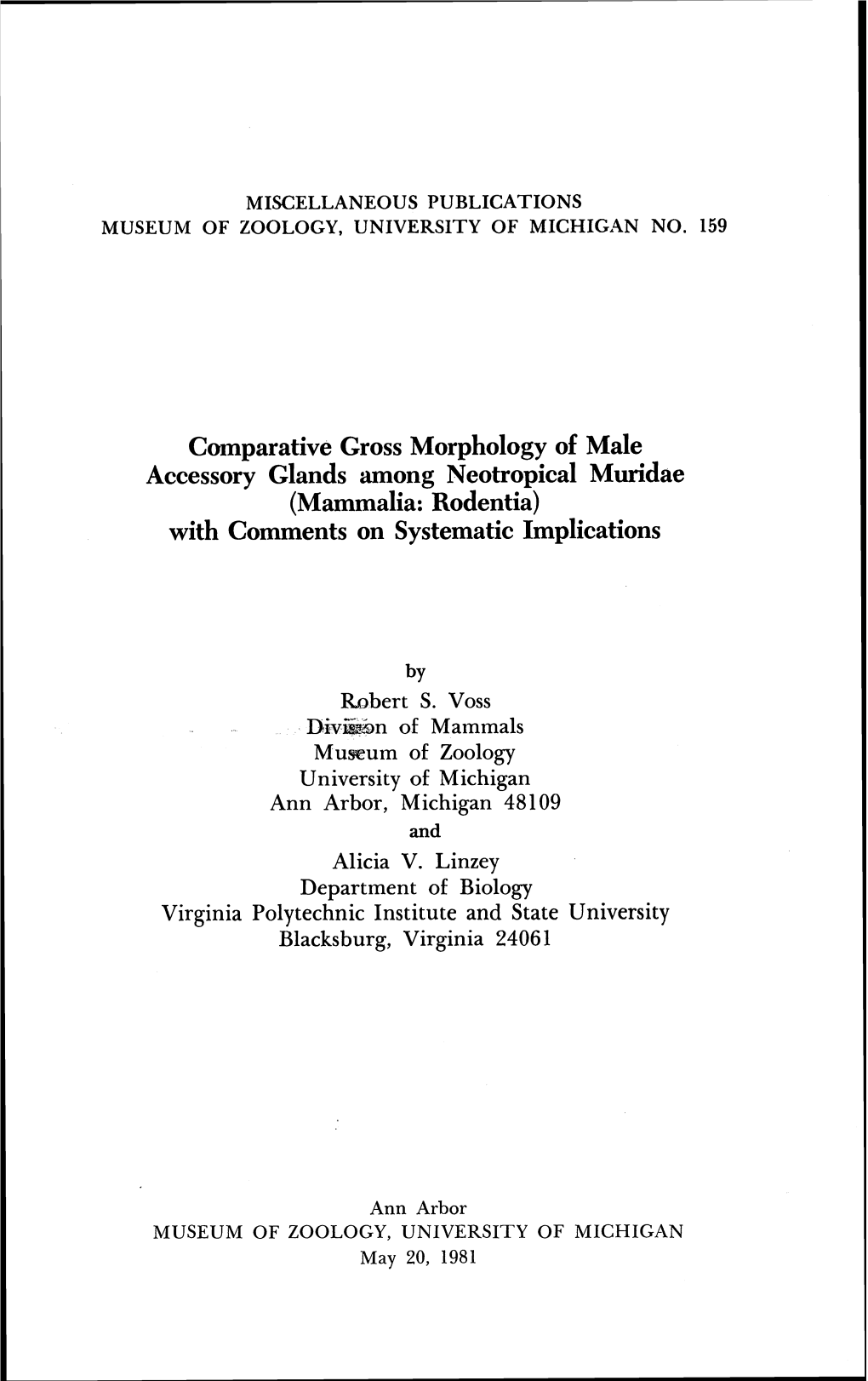 Comparative Gross Morphology of Male Accessory Glands Among Neotropical Muridae (Mammalia: Rodentia) with Comments on Systematic Implications