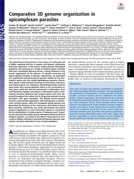 Comparative 3D Genome Organization in Apicomplexan Parasites