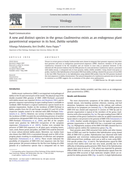 A New and Distinct Species in the Genus Caulimovirus Exists As an Endogenous Plant Pararetroviral Sequence in Its Host, Dahlia Variabilis